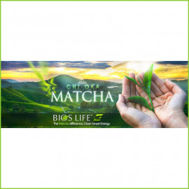 MATCHA ENERGY by Unicity disponibile su Lifestyle-Shop.ch