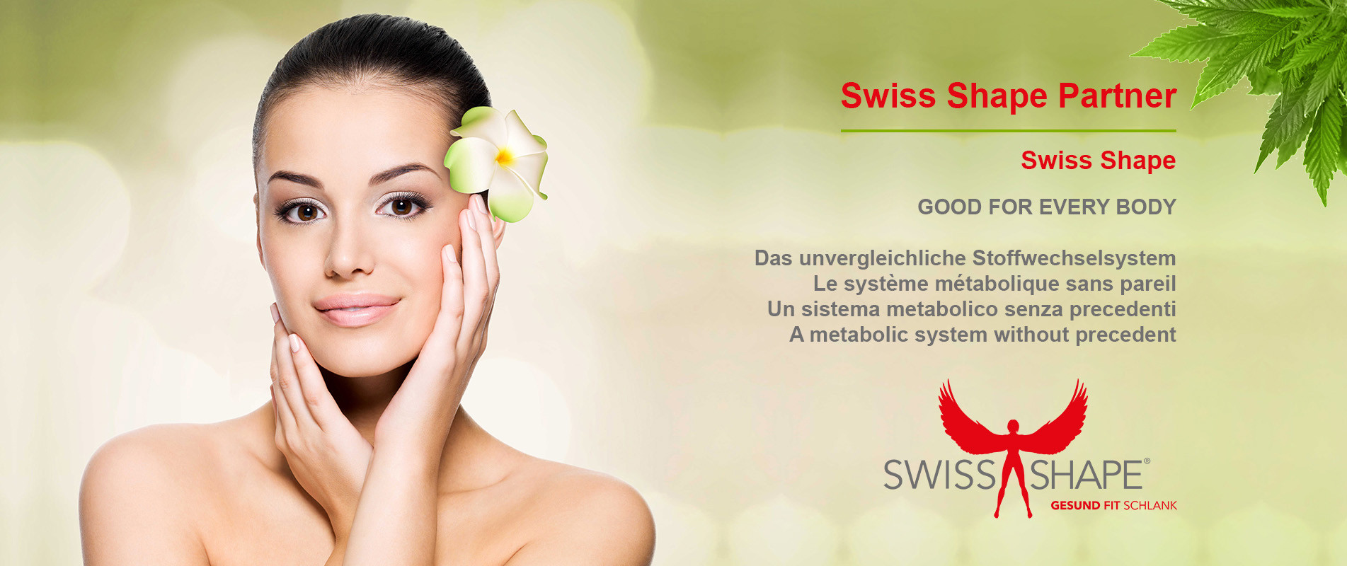 Swiss Shape Partner